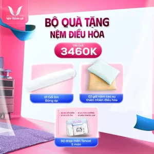 Alternative view of Nệm Điều Hòa Thắng Lợi Vitamin Cool