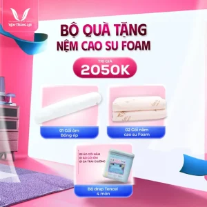 Alternative view of Nệm Cao Su WonderFoam Thắng Lợi