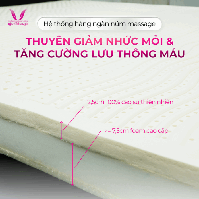 Nệm Cao Su Thiên Nhiên Rosi Massage Thắng Lợi - Ảnh 3