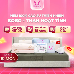 NỆM 100% Cao Su Thiên Nhiên Thắng Lợi BoBo – Than Hoạt Tính