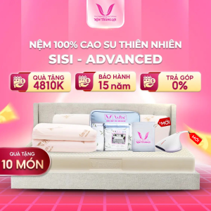 NỆM 100% Cao Su Thiên Nhiên Thắng Lợi SiSi – Advanced