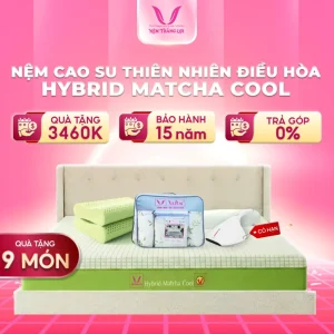 Nệm Cao Su Thiên Nhiên Điều Hòa Hybrid Matcha Cool Thắng Lợi